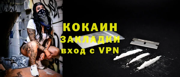 дживик Елизово