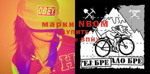 бошки Гусев