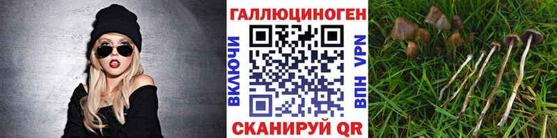 Галлюциногенные грибы MAGIC MUSHROOMS закладка Острогожск
