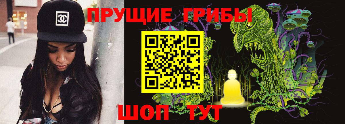 Острогожск  Галлюциногенные грибы Cubensis  Вход с VPN 