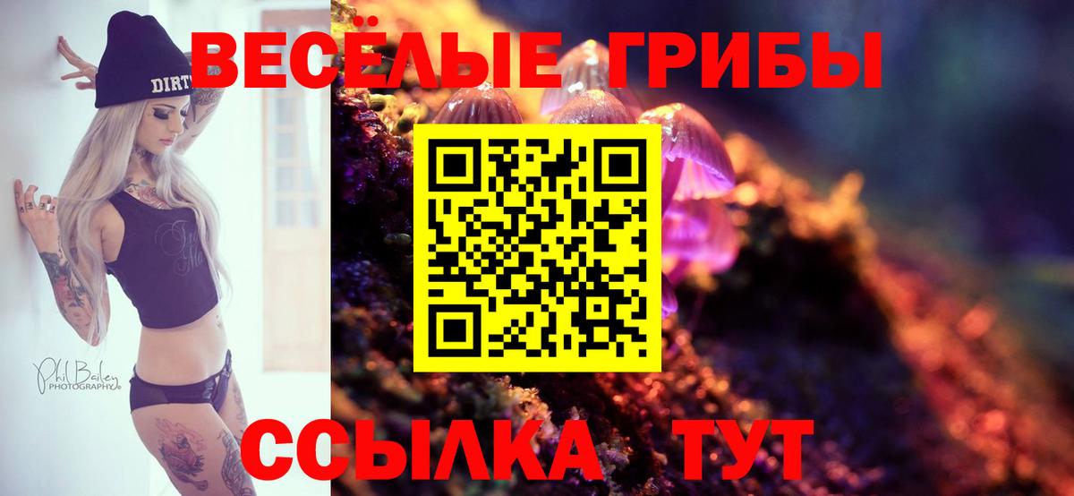 Галлюциногенные грибы Magic Shrooms Острогожск